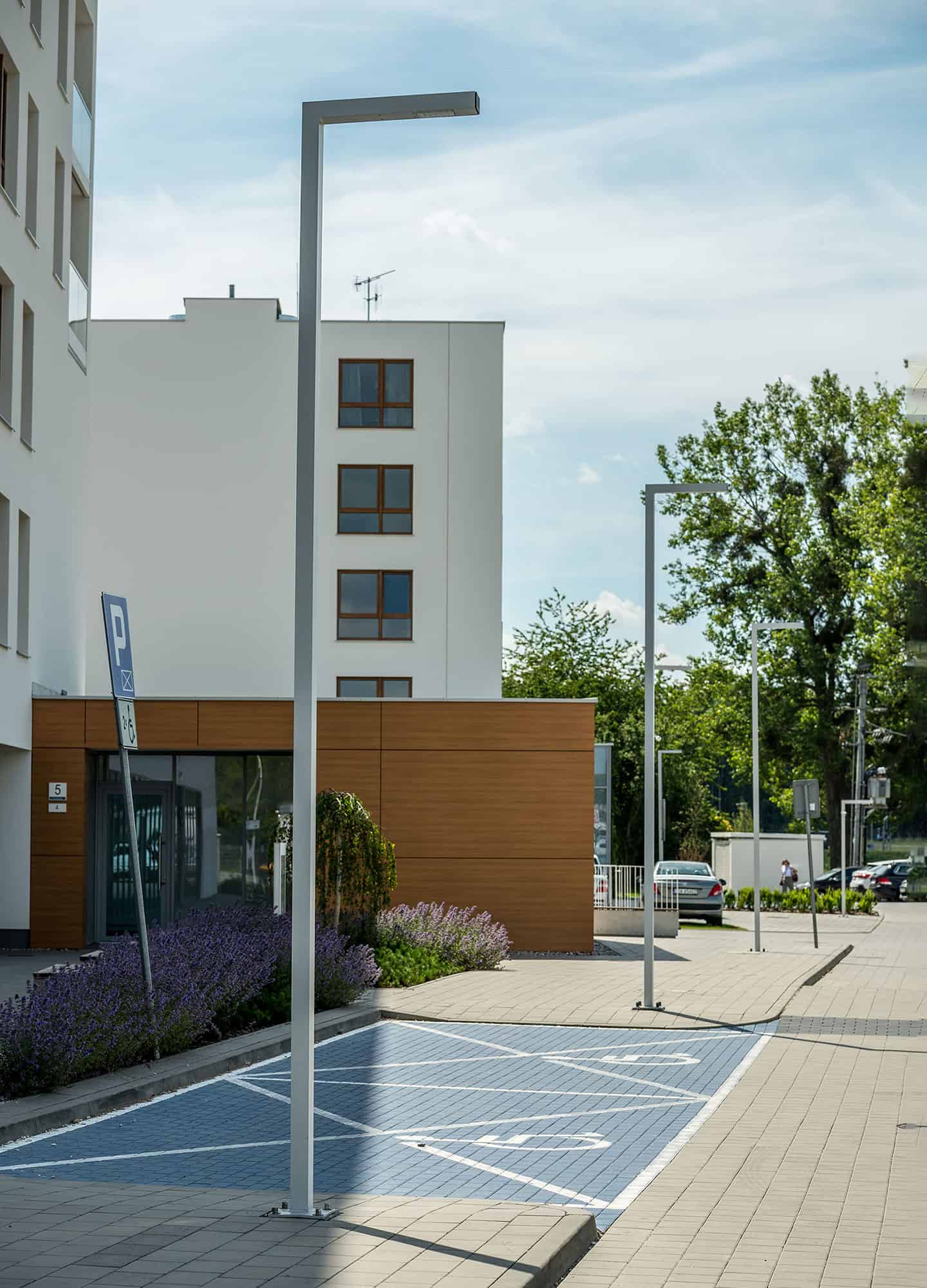 Stalp de iluminat stradal modern echipat, 5ml, LED, 4000K, 1 brat, 1x24W, IP65, Way, ElmarCo