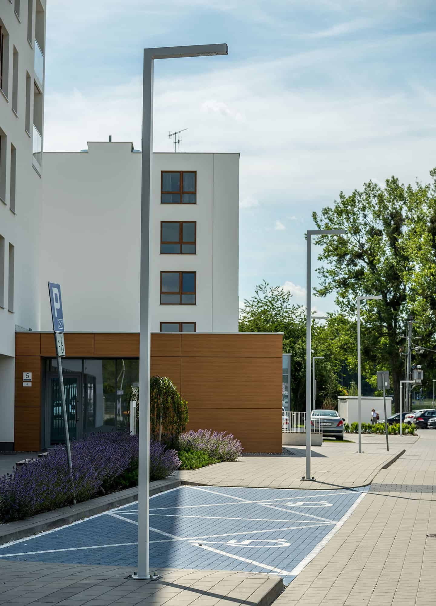 Stalp de iluminat stradal modern echipat, 5ml, LED, 4000K, 1 brat, 2x24W, IP65, Way, ElmarCo