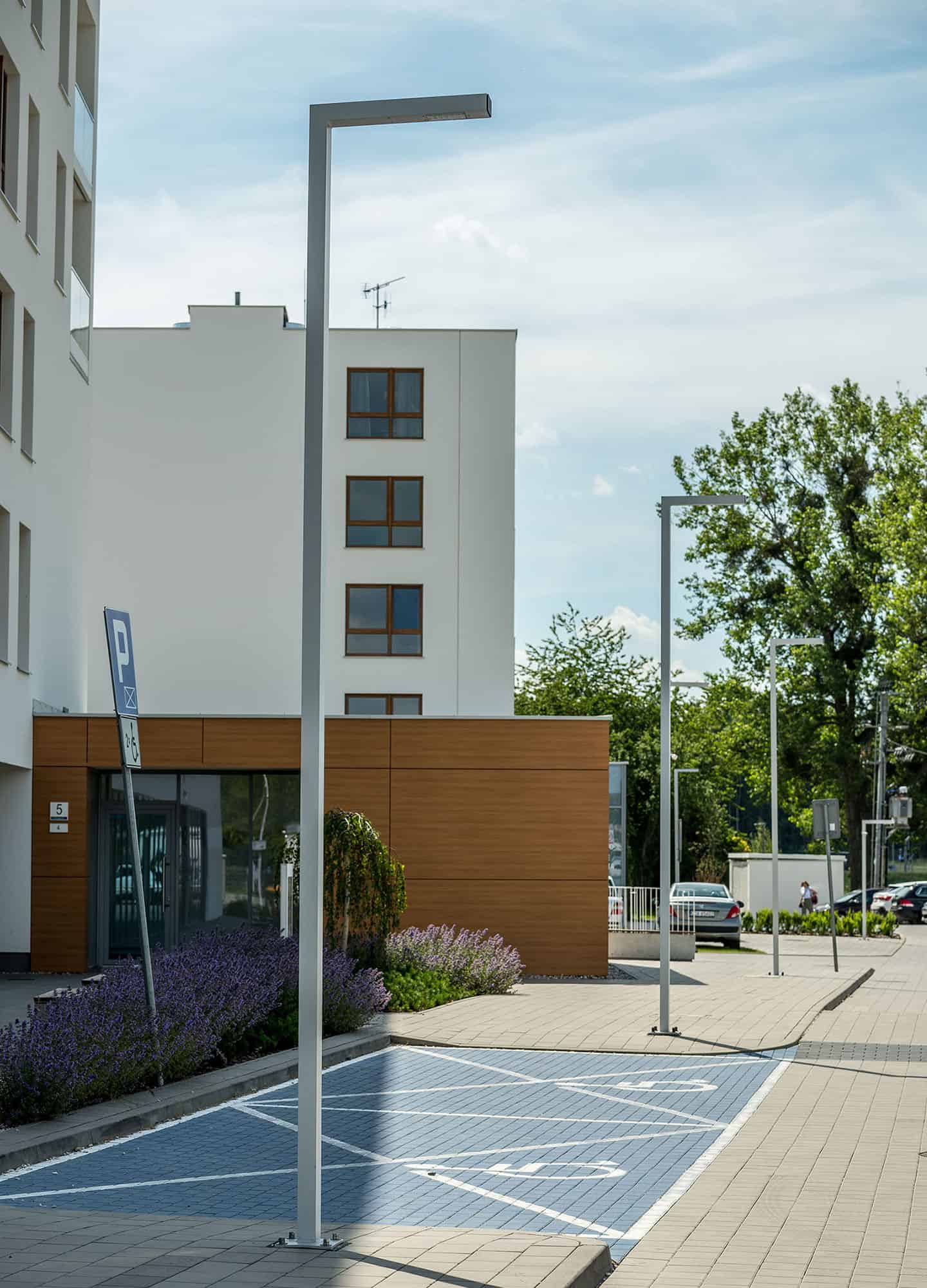 Stalp de iluminat stradal modern echipat, 7ml, LED, 4000K, 1 brat, 2x24W, IP65, Way, ElmarCo