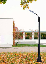 Stalp de iluminat modern pentru parcuri echipat, 3ml, 100W, LED, 6000K, negru, 1 brat, IP65, L.C, SV-008 C