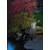 Stalp de iluminat ornamental pentru gradina echipat, grafit, 0.49ml, E27, Norlys, Halmstad