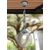 Pendul de iluminat LED pentru gradina, 700x250mm, tip glob, E27, 11W, CCT set, IP55, Fumagalli, Globe 250 Modern, Sicar