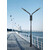 Stalp de iluminat modern pentru parcuri echipat, 3ml, 50W, LED, 6000K, negru, 2 brate, IP65, L.P, SV-002 P
