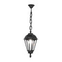 Pendul de iluminat LED pentru gradina, 850x260mm, E27, 8.5W, CCT set, IP55, Fumagalli, Salem, Sichem