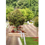 Stalp de iluminat modern pentru gradina echipat, 0.6ml, LED, 4000K, 1 brat, 1x8.5W, IP65, Urbin LO, ElmarCo