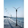 Stalp de iluminat modern pentru parcuri echipat, 3ml, 50W, LED, 6000K, negru, 2 brate, IP65, L.C, SV-008 C
